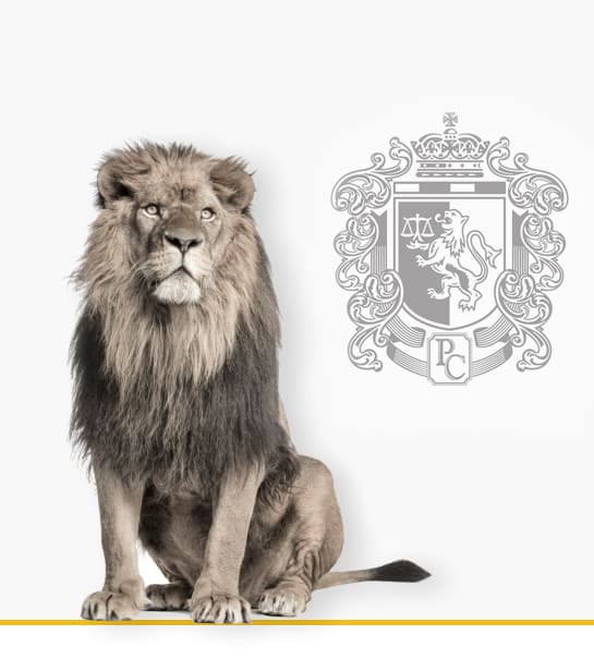 AND HOW OUR TORONTO CONTRACT DISPUTE LITIGATION LAWYERS CAN HELP